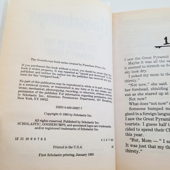 Goosebumps - Picture 6 of 9